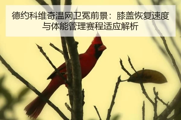 de-yue-ke-wei-qi-wen-wang-wei-mian-qian-jing-xi-gai-hui-fu-su-du-yu-ti-neng-guan-li-sai-cheng-shi-ying-jie-xi-2-884.jpg